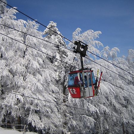 Pohorje Village Wellbeing Resort - Forest Apartments Videc ฮอชโกโปโอเรีย ภายนอก รูปภาพ