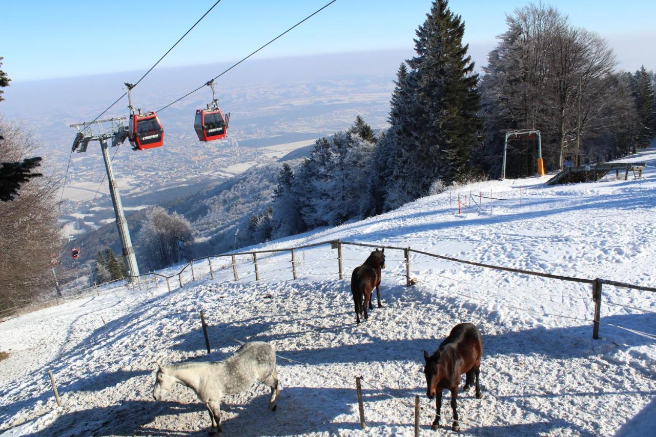Pohorje Village Wellbeing Resort - Forest Apartments Videc ฮอชโกโปโอเรีย ภายนอก รูปภาพ