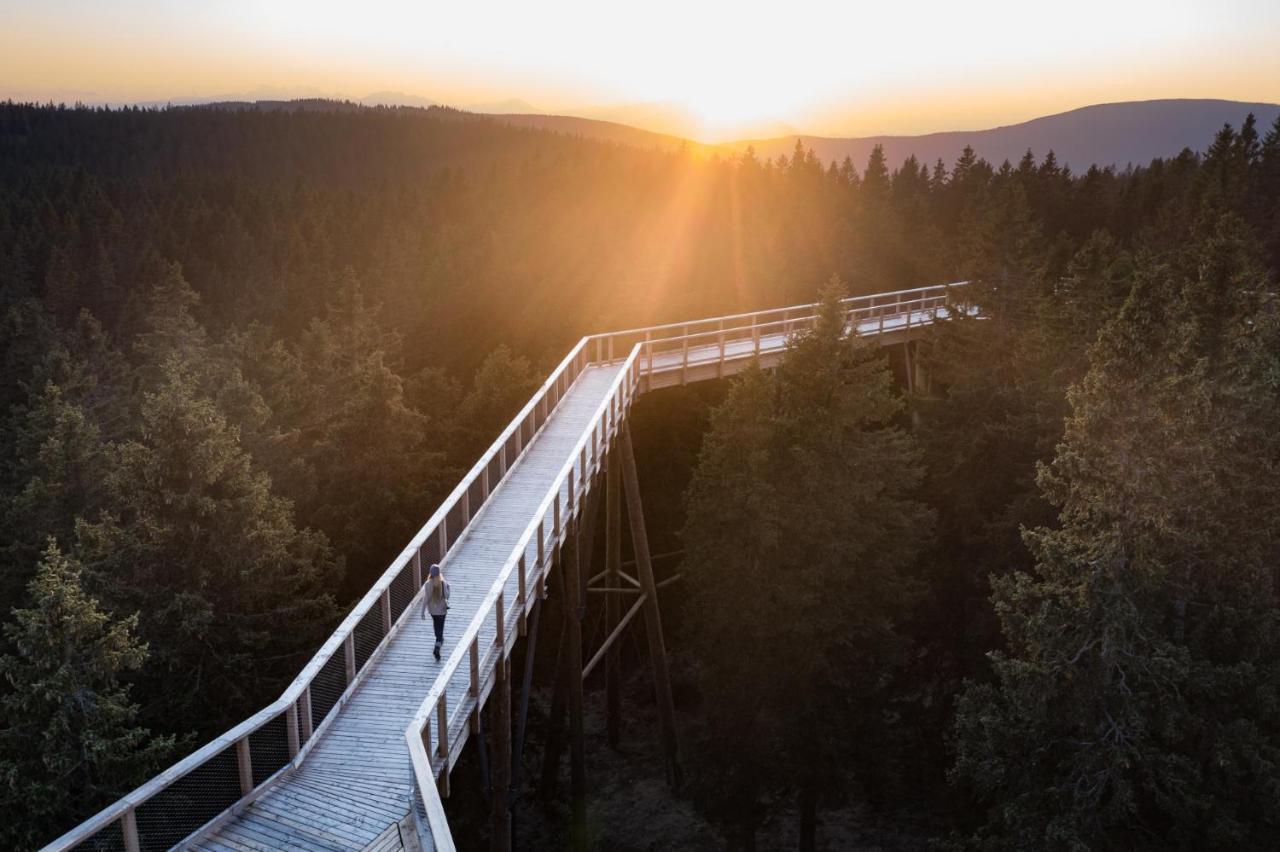 Pohorje Village Wellbeing Resort - Forest Apartments Videc ฮอชโกโปโอเรีย ภายนอก รูปภาพ