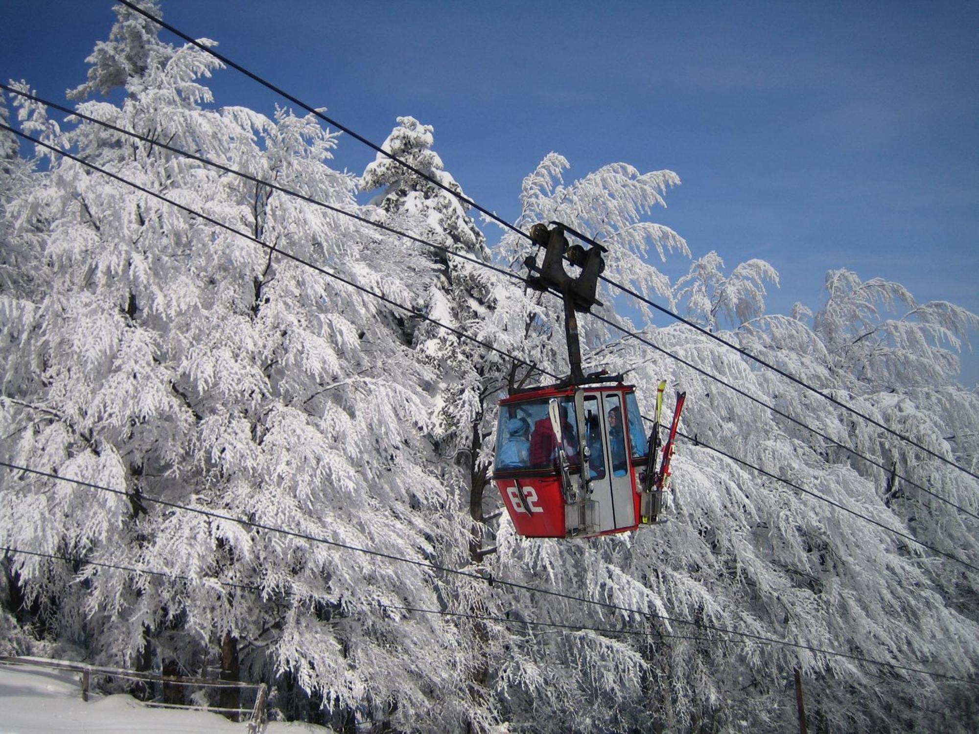 Pohorje Village Wellbeing Resort - Forest Apartments Videc ฮอชโกโปโอเรีย ภายนอก รูปภาพ